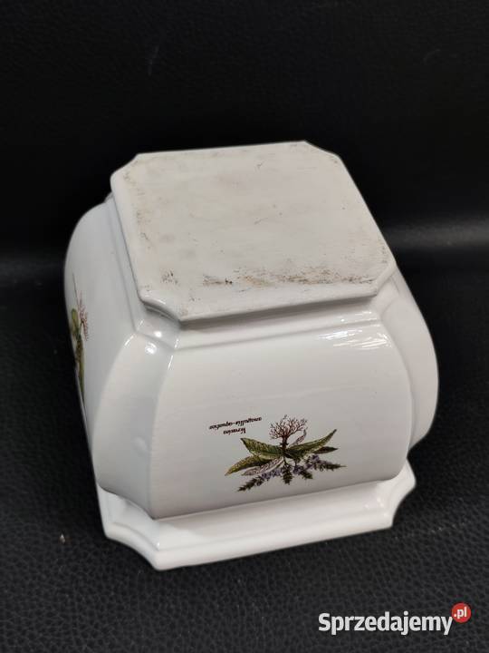 Unikatowa Osłonka Botaniczna Poole Pottery Seria Poddębice