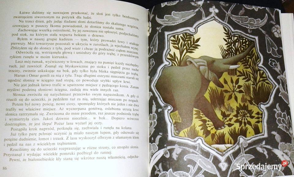 Długa podróż Alego ben Hafiza Maria Korewa Chełm