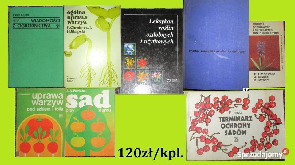 ogród ogrodnictwo uprawy sad kwiaty warzywa dom i ogród Łódź