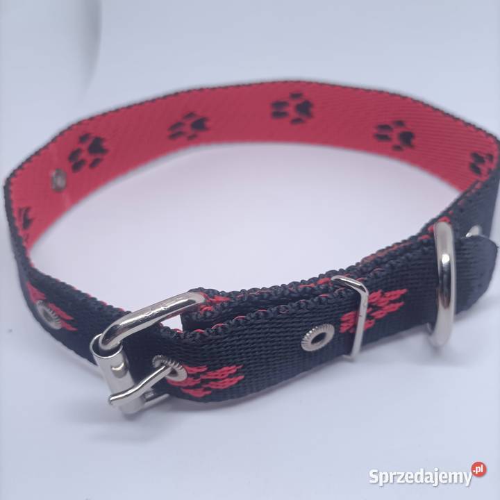 Obroża psa 25mm70 Gorzów Wielkopolski sprzedam
