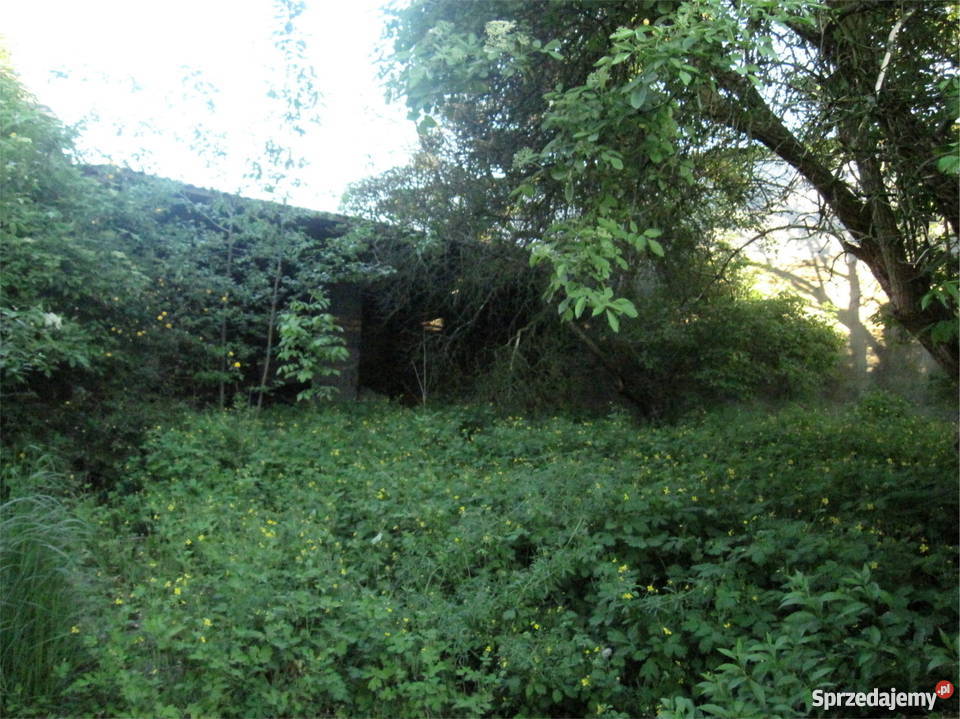 Sprzedam dom Domy Rychtal