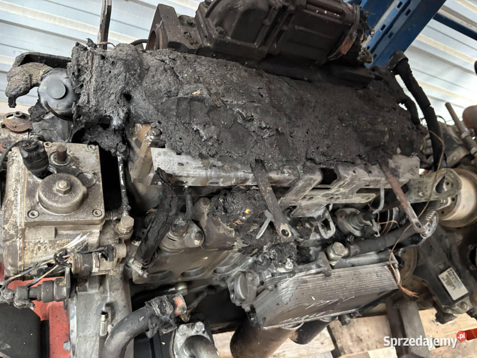 Merlo P 347 Silnik Blok Pompa Kolektor Wał Miska Pozostałe Jastrzębniki