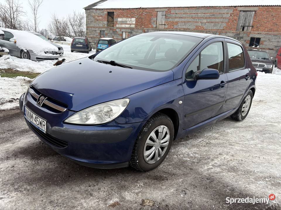 Peugeot 307 1616v zadbany Rok produkcji 2003 307 Nowe Miasto Lubawskie
