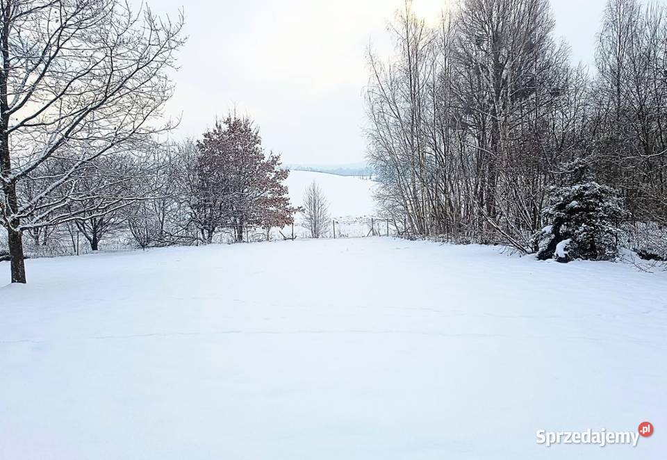Pół bliźniaka 71m2 piękna działka 1500m2 Pieniężno