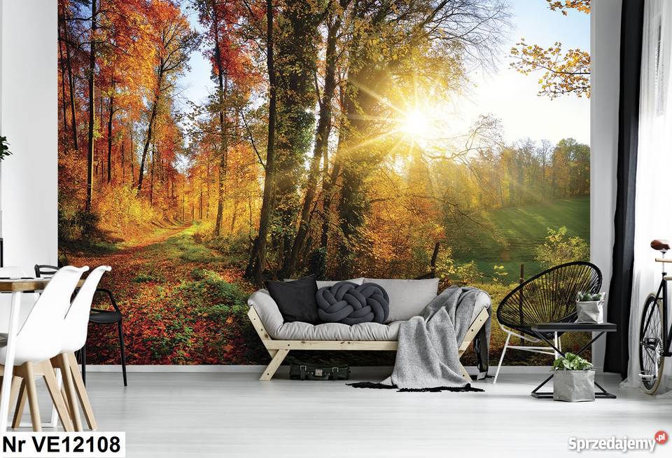 Tapeta fototapeta Piękny las liście wewnętrzne Leszno