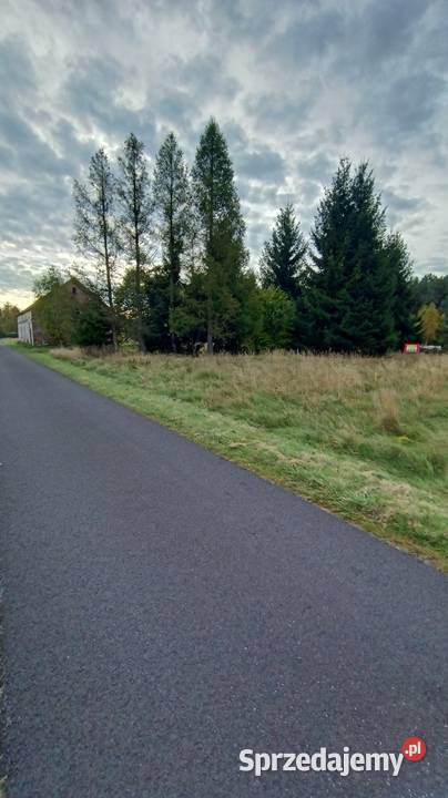 Działka budowlana Ołobok serce Borów