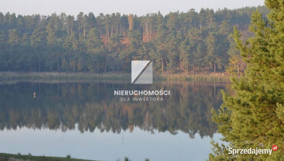 Działka budowlana 4000 mkw widok na staw Wełmin budowlana