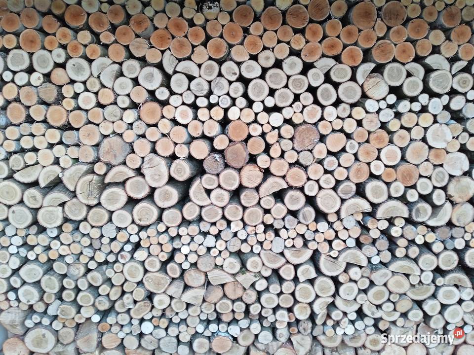 Drzewo opałowe Sanok