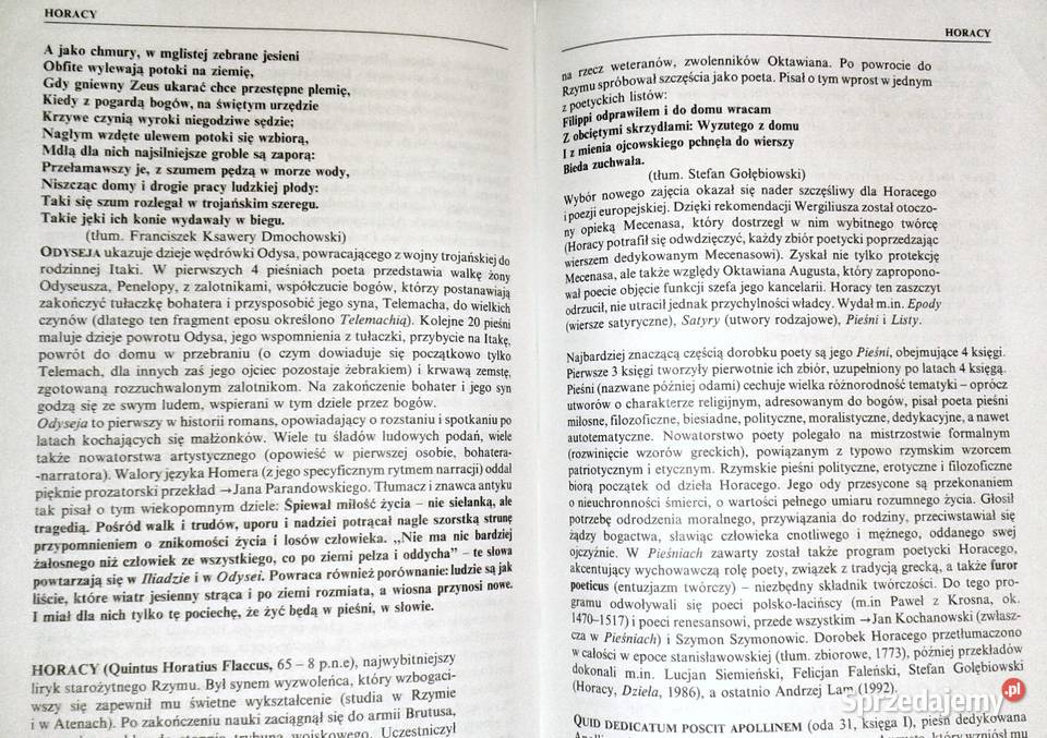 Słownik pisarzy i lektur Tomasz Januszewski twarda Chełm