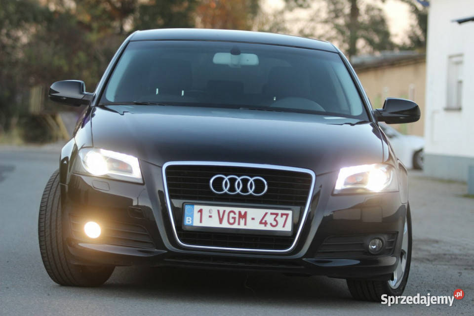 Audi A3 8P 2011r 12 Benzyna ALUSY biXENON gniazdo SD Nysa