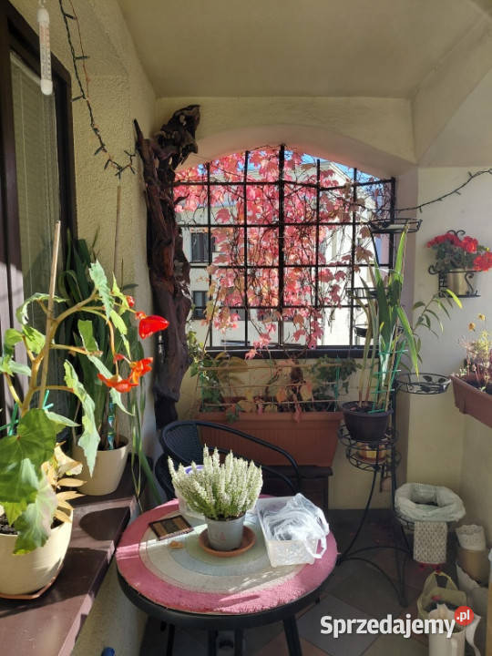 Dwupoziomowe na zamkniętym osiedlu Warszawa