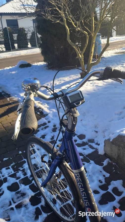 Rower elektryczny Pegazus