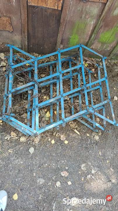 Sprzedam brony wielkopolskie Mikorzyn