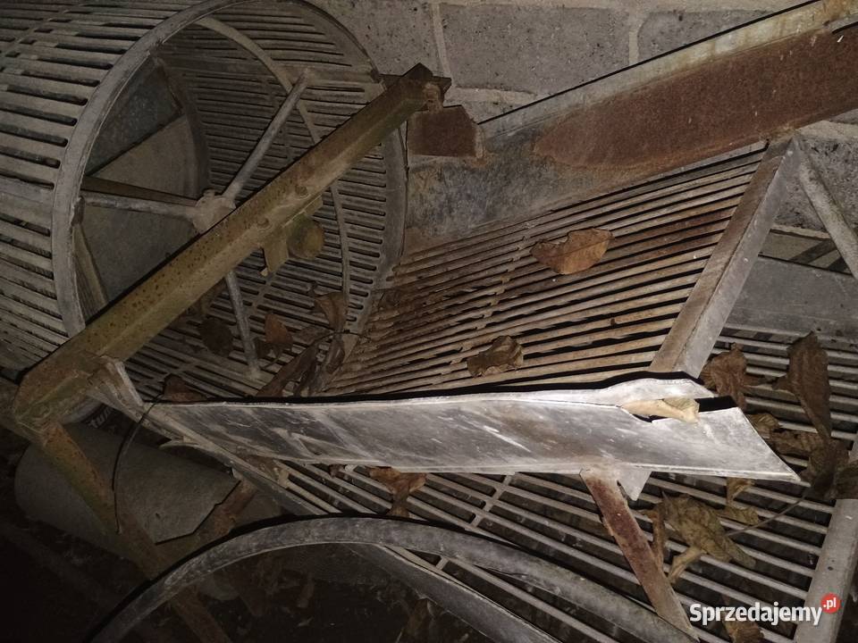 Myjka płuczka do warzyw ziemniaków