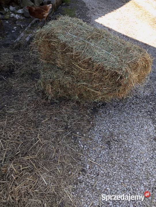 Siano mała kostka świętokrzyskie Obiechów sprzedam