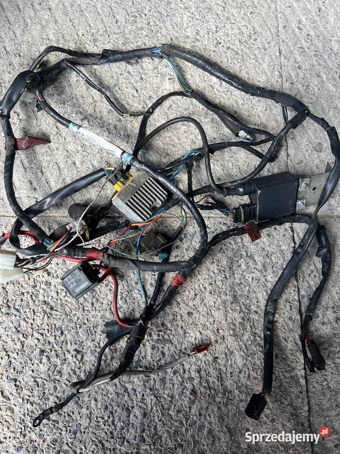 Wiązka elektryczna Aprilla Scarabeo 50 Dziurów sprzedam
