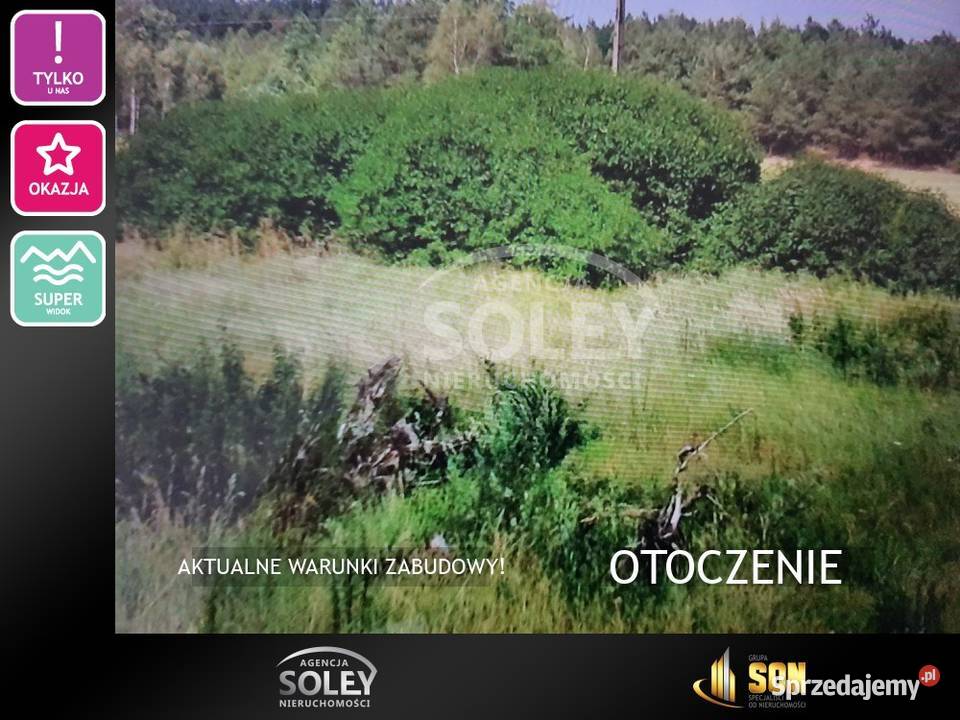 Widokowe trzy dzialki lasu Śródborze