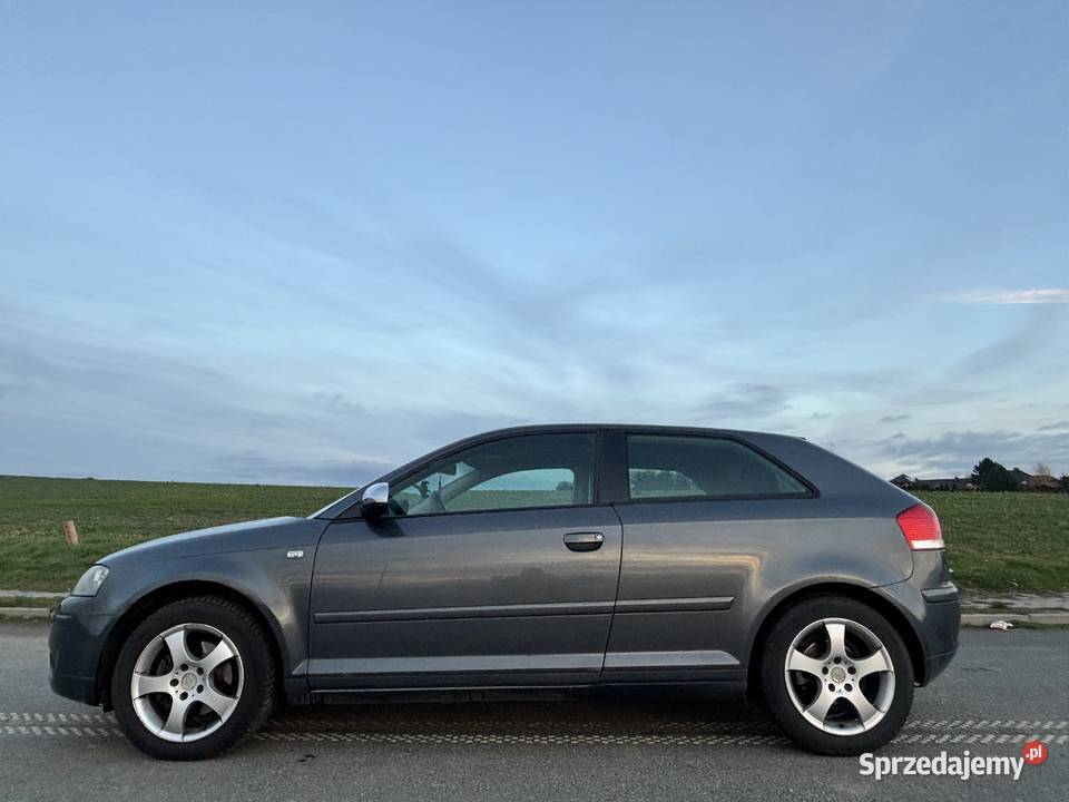 Audi a3 8p kompakt 16 mpi 102 2004r benzyna dolnośląskie Dzierżoniów