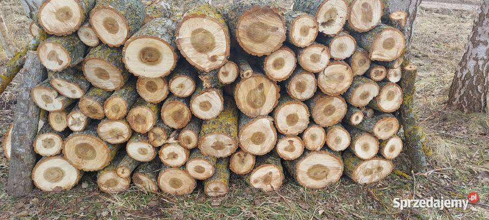 Drewno liściaste osika 200 Olsztyna Wojtkowizna