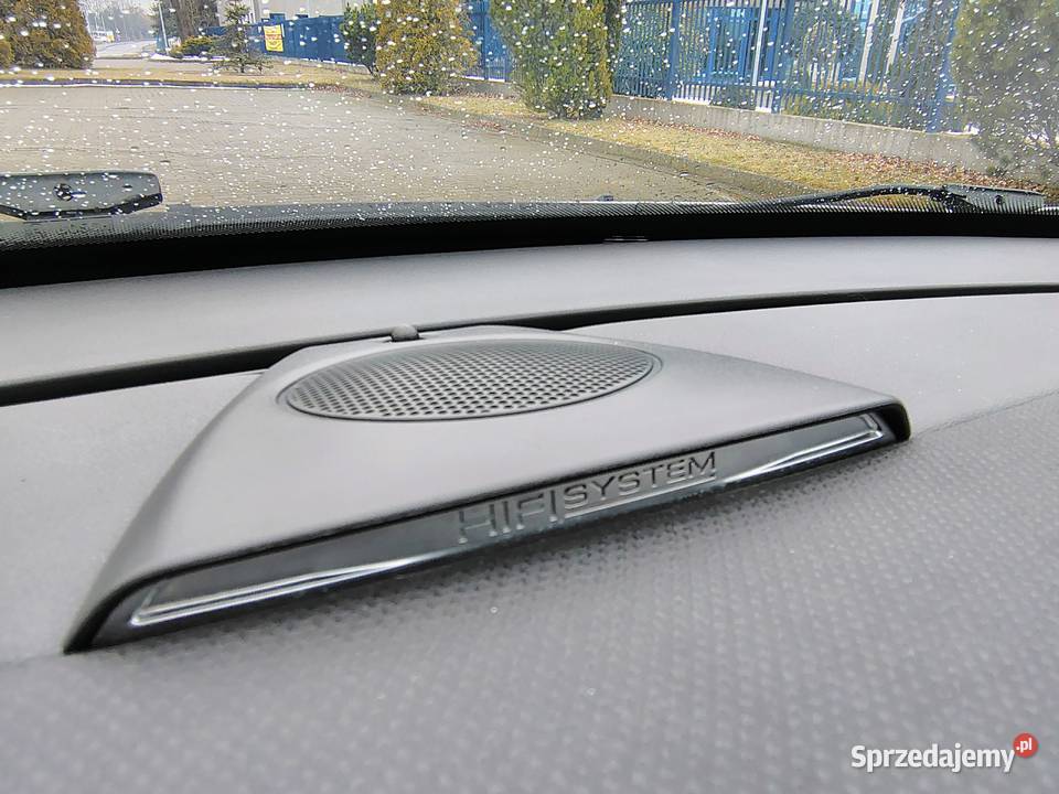 Citron DS3 DS3 unikatowy automat skóry idealny Gniezno sprzedam
