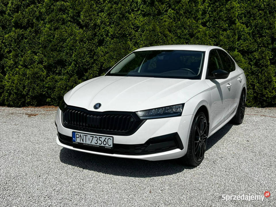 koda Octavia 20 TDI automat Sedan IV 2020 Baranowo