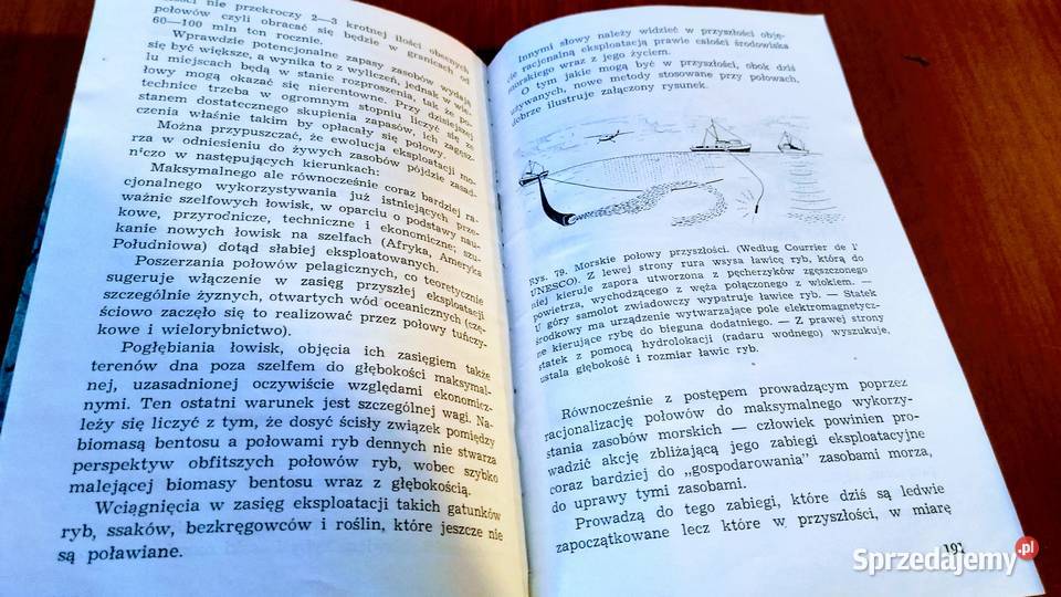 Morze środowisko życie zasoby Kazimierz Demel Gdańsk