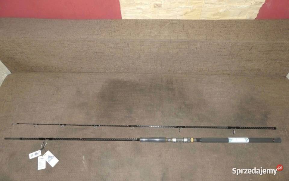 Zestaw spinningowy śląskie Sosnowiec