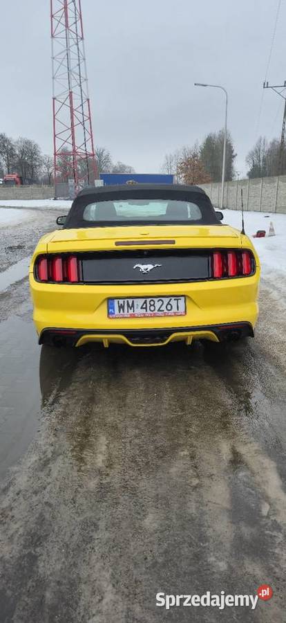 Ford Mustang VI 23 ecoboost Kabriolet Mrozy sprzedam