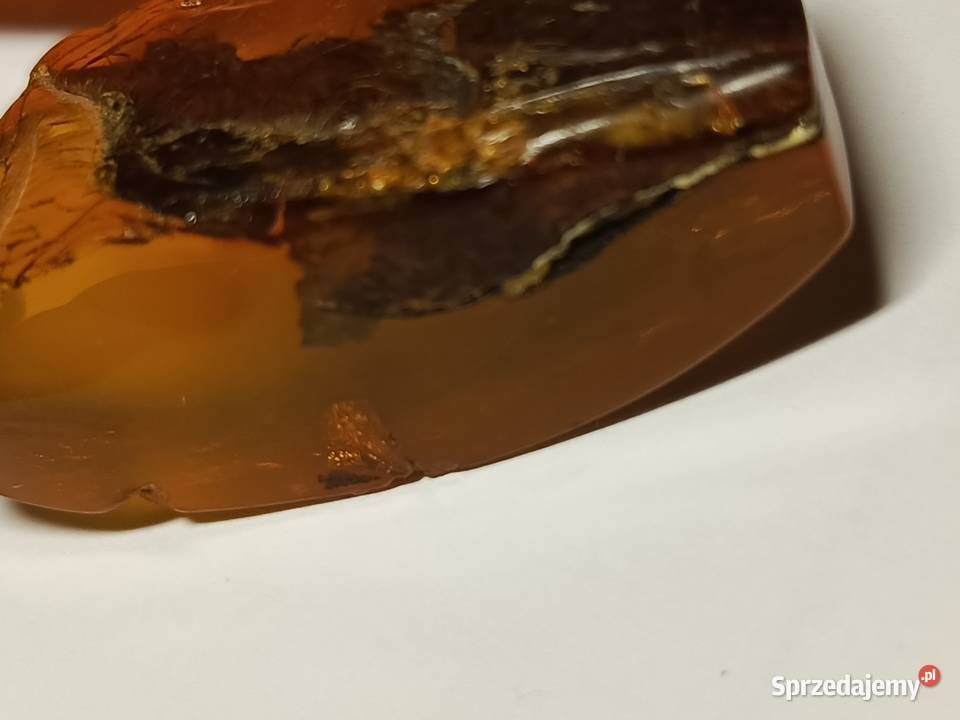 Bursztyn inkluzje Białystok