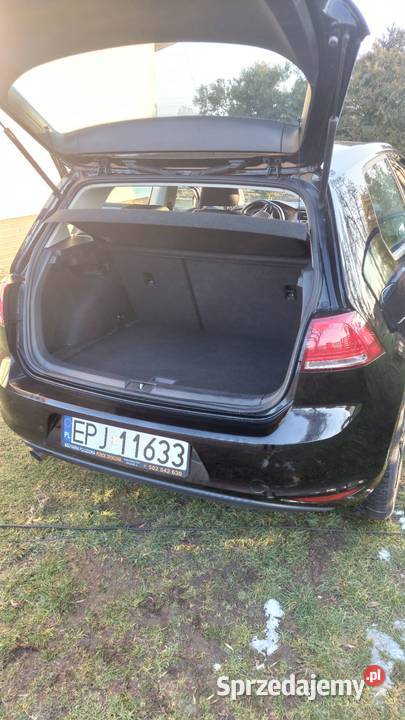 Volkswagen Golf VII 2016r Blue Motion Wieluń