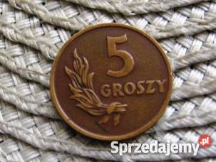 PRL 5 Groszy 1949r6 wielkopolskie Kalisz