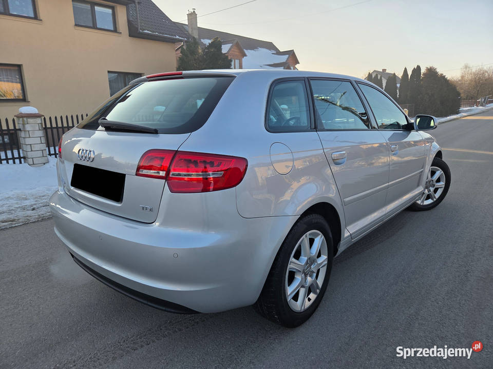 AUDI A3 LIFT LED Klima Podgrz Fotele Serwis Alu 1600cm3 A3 Zamość