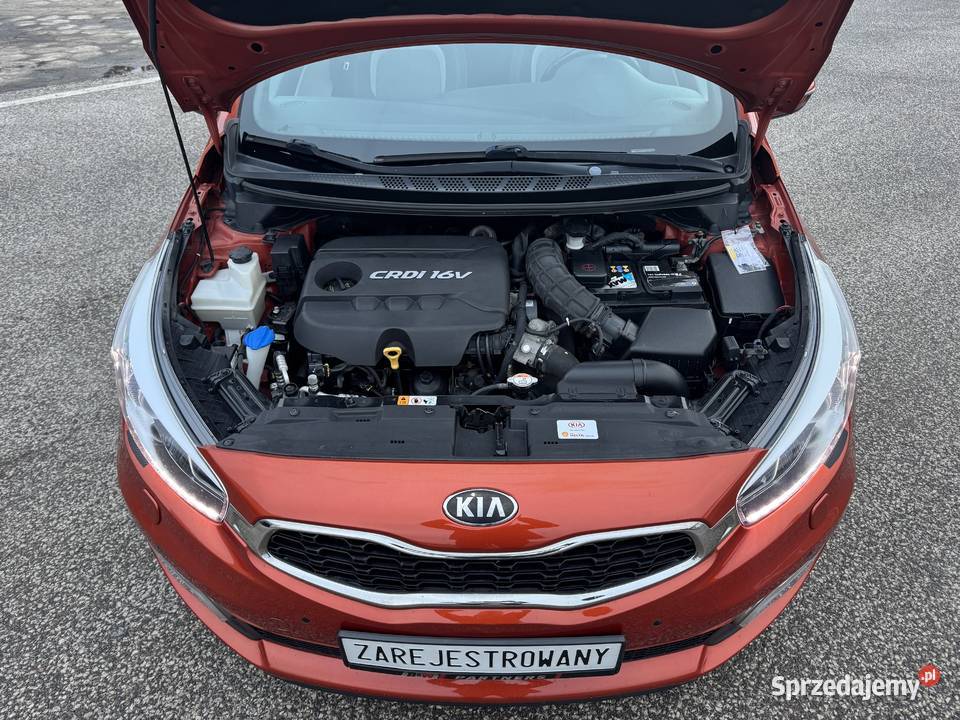 Kia Ceed 16 DIESEL Zarejestrowana Klimatronik Konin