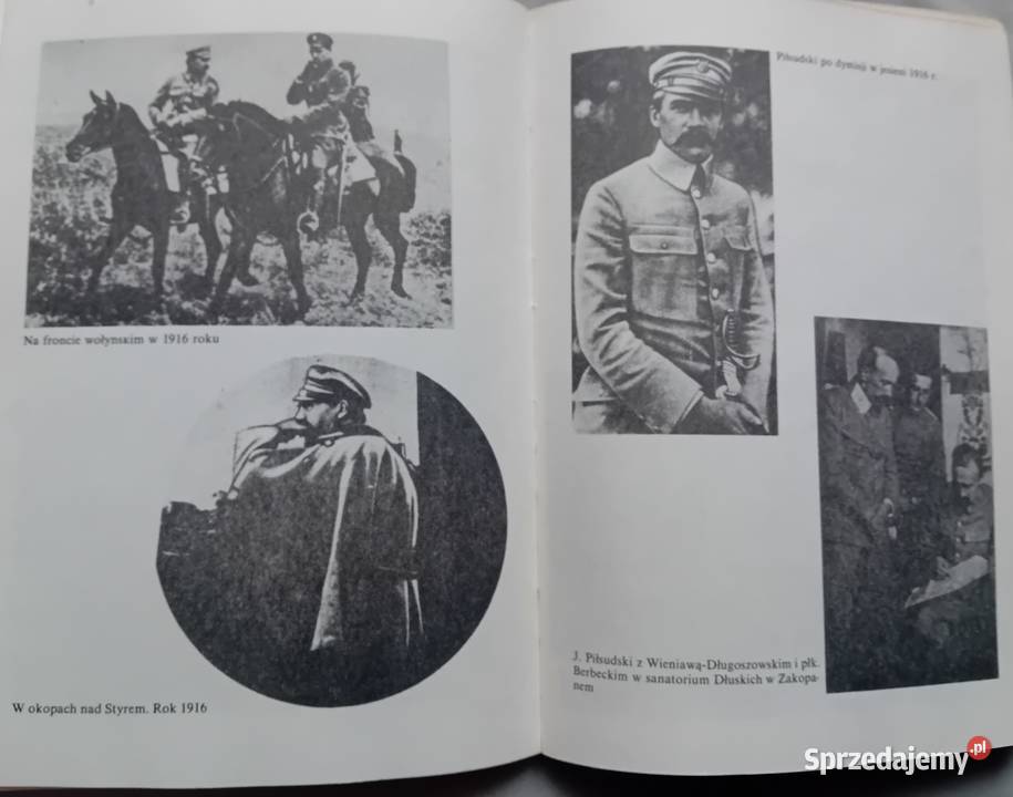 ZJMichalski Siwy strzelca strój Rzecz o józefie