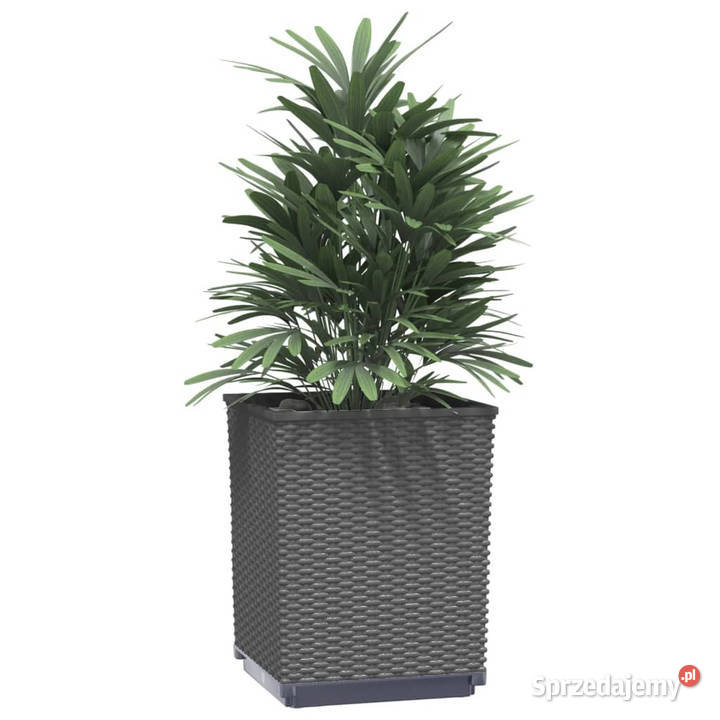 Donice 2 czarne 30x30x37 polipropylen WM364182 mazowieckie Warszawa