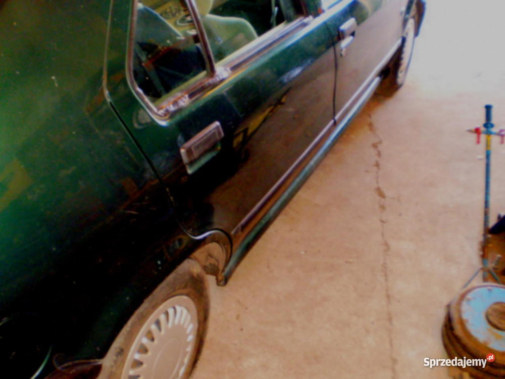 renault 19 td dziadka manualna Stargard Szczeciński