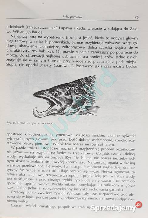 Z rybami na ty A Bakanowski S Stupkiewicz hobby, kolekcjonerstwo