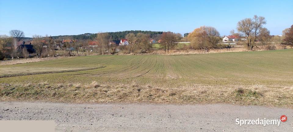 Działka budowlana 6447 m na wsi z dojazdem lubuskie Jordanowo