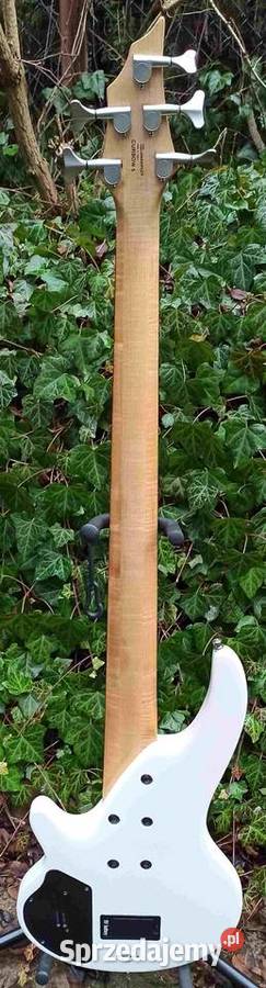 Gitara basowa Cort Curbow 5 Korea Tuszyn