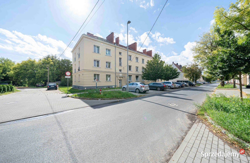 Jasne mieszkanie 379 m do wynajęcia Poznań