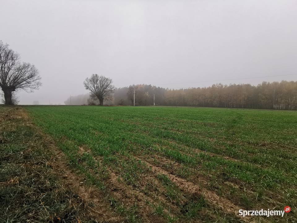 SZUMLIN Działki rekreacyjne z warunkami zabudowy