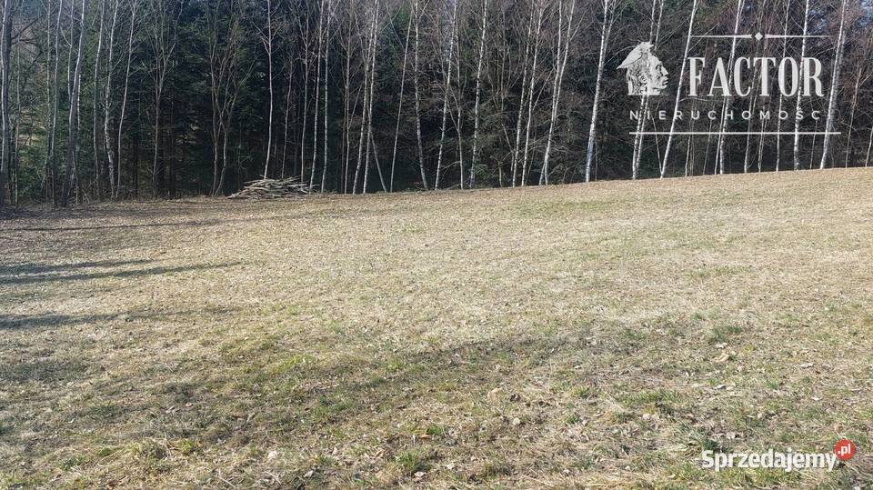 Widokowa działka budowlana 1279 ara Bieśnik gm 59zł/m2 Sprzedaż