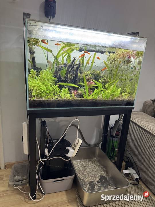 Akwarium 140L Optiwhite aquael ultramax 1500 Wrocław sprzedam