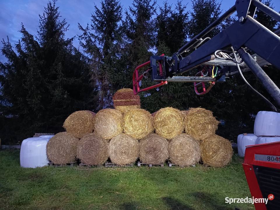 Prasa Fort f 21 junior