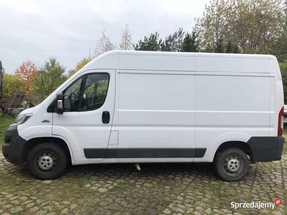 Fiat ducato biały Marynki