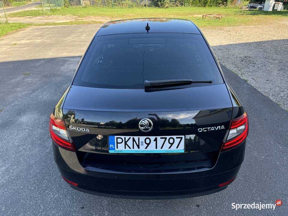 Skoda Octavia III 20 TDI DSG 2019 VC Canton Konin