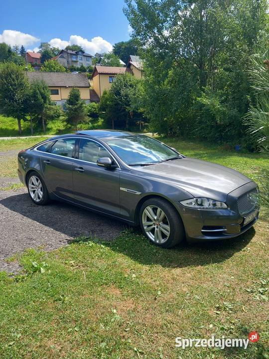 Jaguar XJ małopolskie Malec