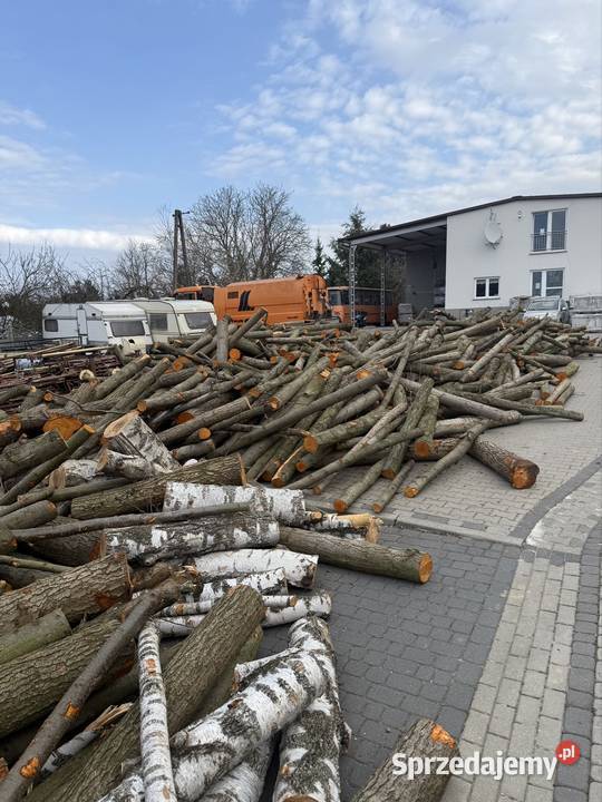 Drewno liściaste  / w wałkach 1,5 m Kórnik