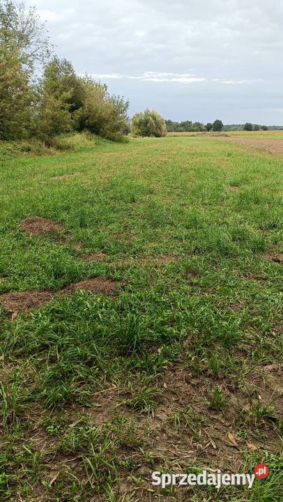 Sprzedam działkę rekreacyjną rekreacyjna Nowe Kęszyce