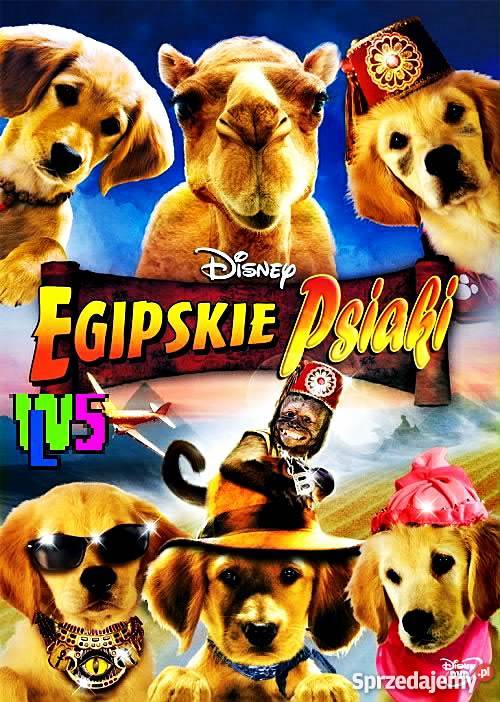 EGIPSKIE PSIAKI DISNEY pełne wielkopolskie